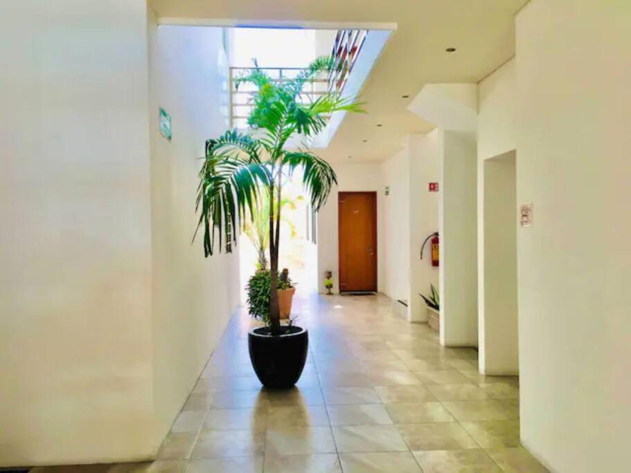 Vip! Pent-house With Your Private Pool & Chairs 2 Bedrooms *