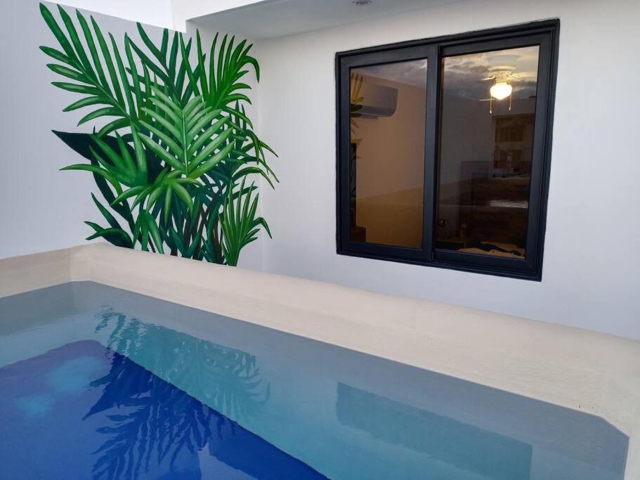 Vip! Pent-house With Your Private Pool & Chairs 2 Bedrooms * Playa del Carmen